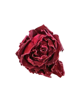 Rose Tea Large-Flowered Rose Crown Tea Freshly picked for Women 25g/jar